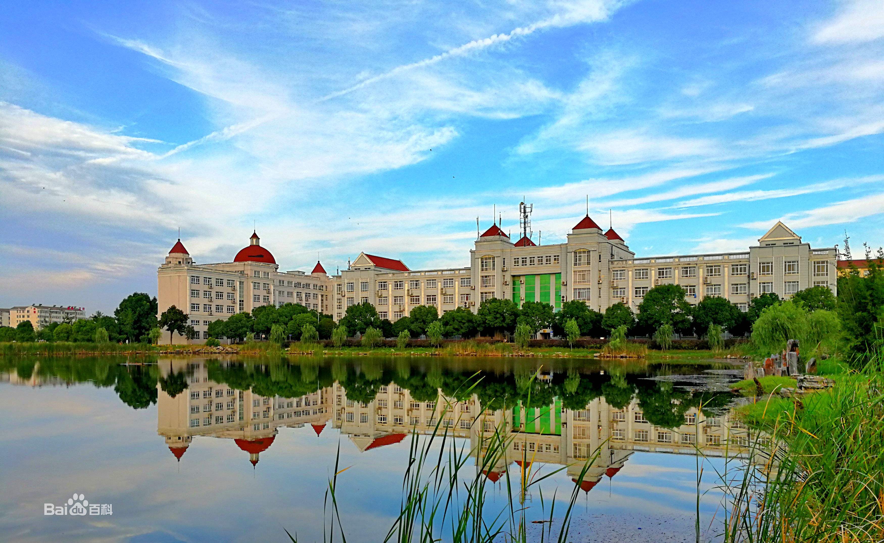 教你如何在网上找辽宁自考报考资讯(图1)