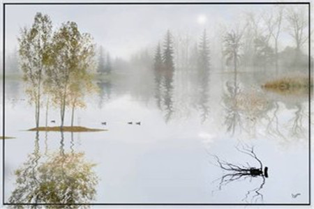 辽宁省2020年自考大专难度高吗?(图1) 辽宁省2020年自考大专难度高吗?(图1)