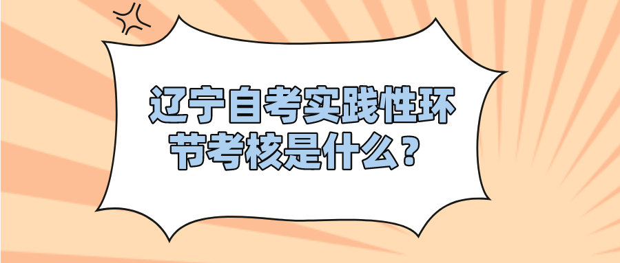 辽宁自考实践性环节考核是什么？(图1)