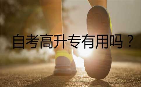 自考高升专有用吗?(图1) 自考高升专有用吗?(图1)