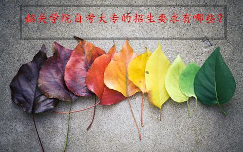 辽宁自考大专的招生要求有哪些?(图1) 辽宁自考大专的招生要求有哪些?(图1)